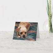 Heeft iemand het je verteld? kaart (Voorkant)