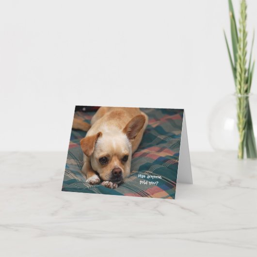 Heeft iemand het je verteld? kaart (Voorkant)