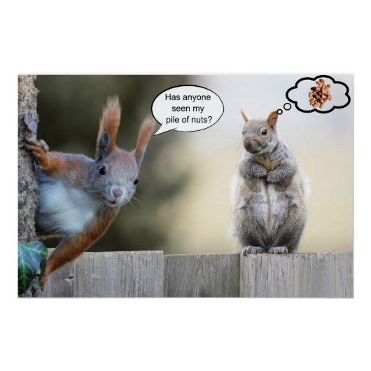 Heeft iemand mijn noten gezien? perfect poster (Voorkant)