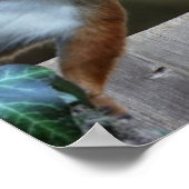 Heeft iemand mijn noten gezien? poster (Hoek)