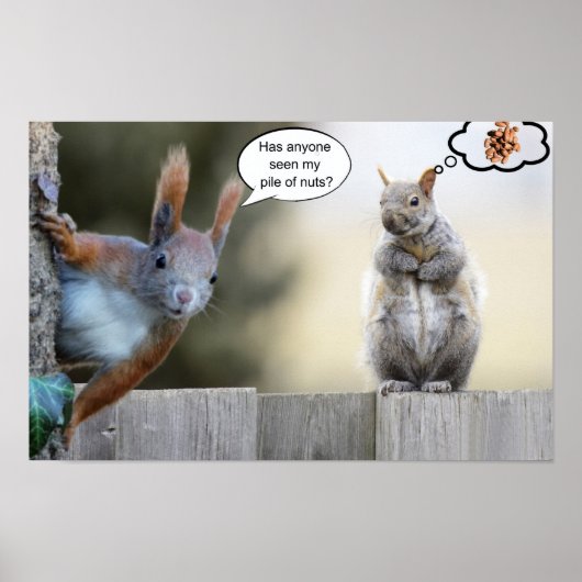 Heeft iemand mijn noten gezien? poster (Voorkant)