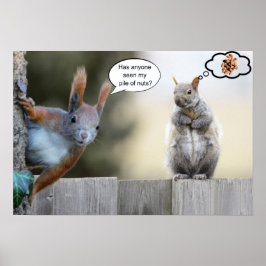 Heeft iemand mijn noten gezien? poster