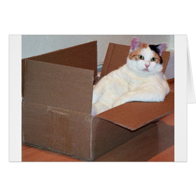 "Heeft iemand mijn schaduwen gezien?" (Voorkant Horizontaal)