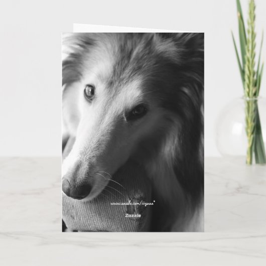 Heeft iets je naar beneden gehaald? kaart (Achterkant)