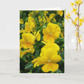 ***HEEFT JUBILEUM** ZISTER EN KAART VAN DE BAND (Gele Bloem)