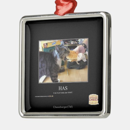 heeft metalen ornament (Links)