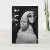 "HEEFT MIJN HAAR GEWOON VOOR U GEHAD" 16e MAANDAGS Kaart (Voorkant)