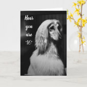 "HEEFT MIJN HAAR GEWOON VOOR U GEHAD" 16e MAANDAGS Kaart (Gele Bloem)