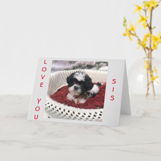 HEEFT *MOEDERDAG* TOT EEN *** SPECIALE ZISTER!*** KAART (Gele Bloem)