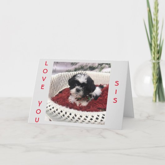 HEEFT *MOEDERDAG* TOT EEN *** SPECIALE ZISTER!*** KAART (Voorkant)