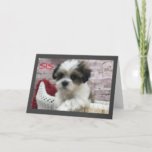 HEEFT *MOEDERDAG* TOT EEN *** SPECIALE ZISTER!*** KAART