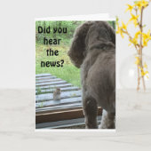 HEEFT U HET NIEUWS GEHOORD? JE GAAT 18 MILJARD KAART (Gele Bloem)