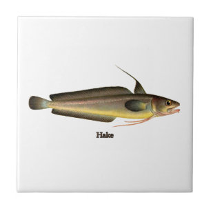Heek Fish Logo Tegeltje