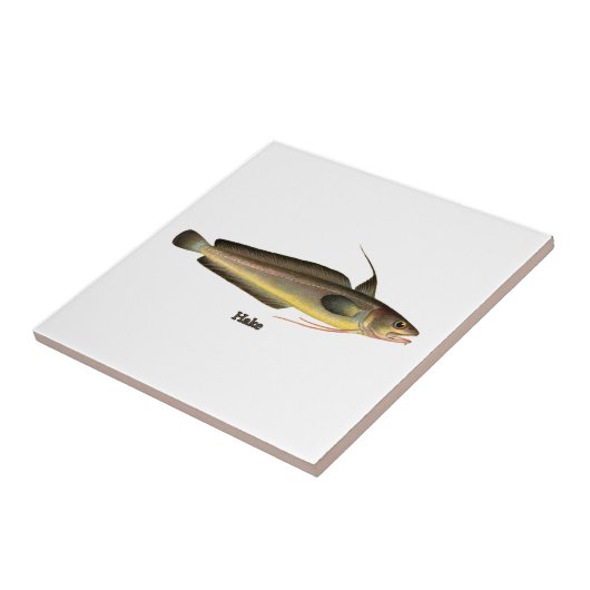 Heek Fish Logo Tegeltje (Zijkant)
