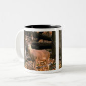 HEEL BUCK!  MOK (Voorkant links)