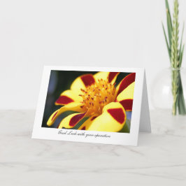 Heel de Goudsbloem van de Nar - Geluk met uw Kaart