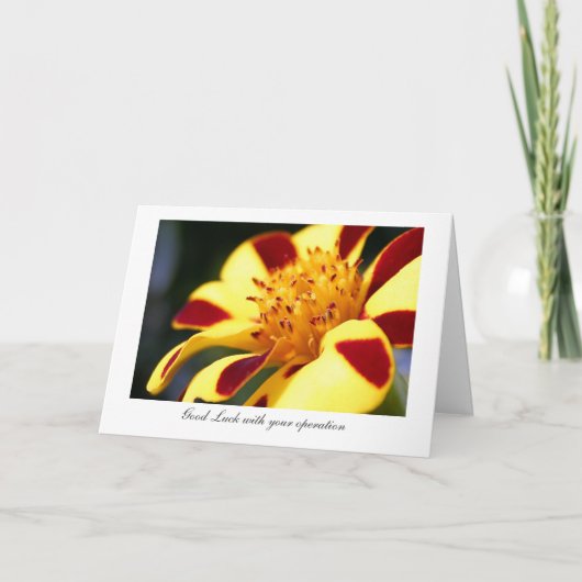 Heel de Goudsbloem van de Nar - Geluk met uw Kaart (Voorkant)