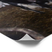 HEEL GOAT AFBEELDING. POSTER (Hoek)