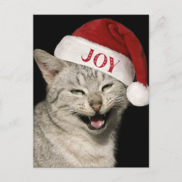 Heel grappig Kerstman Kat Lach Foto Kerstmis Feestdagenkaart
