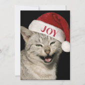 Heel grappig Kerstman Kat Lach Foto Kerstmis Feestdagenkaart (Voorkant)