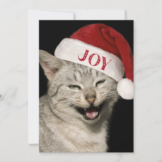 Heel grappig Kerstman Kat Lach Foto Kerstmis Feestdagenkaart (Voorkant)
