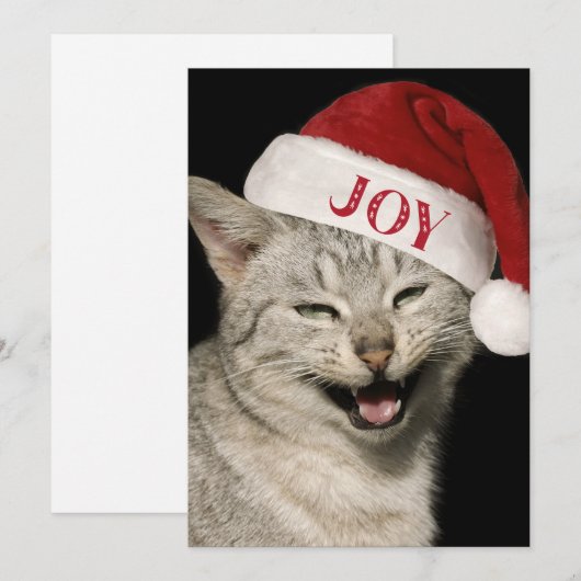Heel grappig Kerstman Kat Lach Foto Kerstmis Feestdagenkaart (Voorkant / Achterkant)