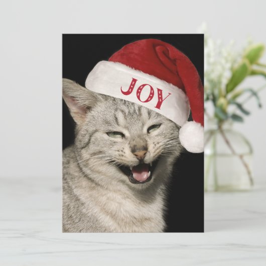 Heel grappig Kerstman Kat Lach Foto Kerstmis Feestdagenkaart (Staand voorkant)
