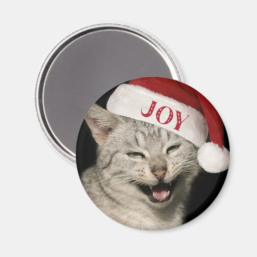 Heel grappig Kerstman Kat Lach Foto Kerstmis Magneet (Voorkant / Achterkant)