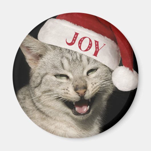Heel grappig Kerstman Kat Lach Foto Kerstmis Magneet (Voorkant)