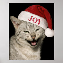 Heel grappig Kerstman Kat Lach Foto Kerstmis