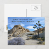 Heel mooi Briefkaart van de Joshua-boom! (Voorkant / Achterkant)