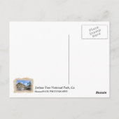 Heel mooi Briefkaart van de Joshua-boom! (Achterkant)