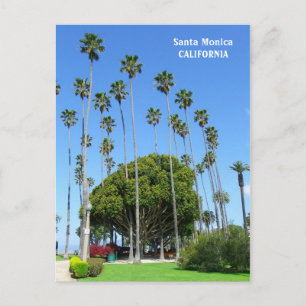 Heel mooi Santa Monica Briefkaart! Briefkaart