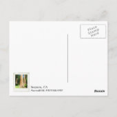 Heel mooi Sequoia Briefkaart! Briefkaart (Achterkant)