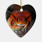 Heel mooie tomatenkikker. Kikker met ongebruikelij Keramisch Ornament (Rechts)