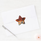 Heel mooie tomatenkikker. Kikker met ongebruikelij Ster Sticker (Envelop)