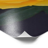 heel mooie, verse, dubbelgele rozenbloemen foto afdruk (Hoek)