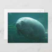 Heel rond met mooi gezicht briefkaart (Voorkant / Achterkant)