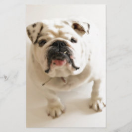 Heel schattige Bulldog Briefpapier