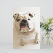 Heel schattige Bulldog Briefpapier (Staand voorkant)