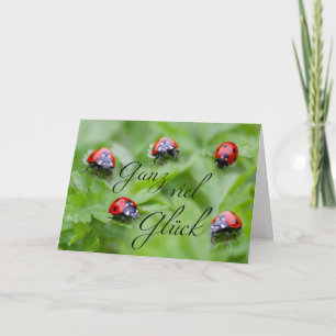 Heel veel geluk - met veel lieveheersbeestjes! kaart