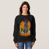 Heeler Witch Pumpkin Halloween Dog Trui (Voorkant volledig)