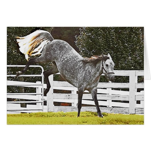 Heels opknappen (Voorkant Horizontaal)