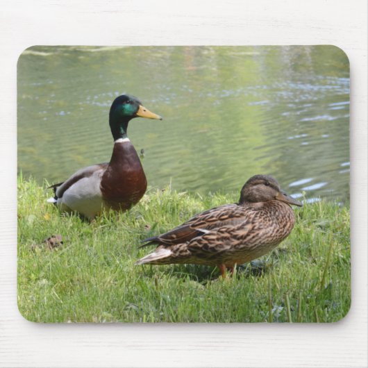 Heenden en eenden in het wild muismat (Voorkant)