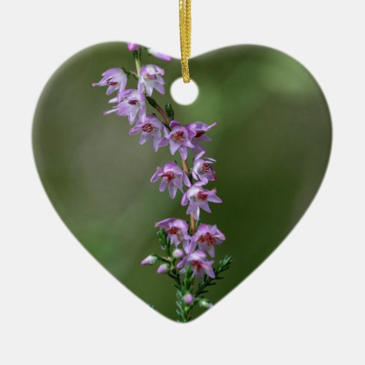 Heer (Calluna vulgaris) Keramisch Ornament (Voorkant)