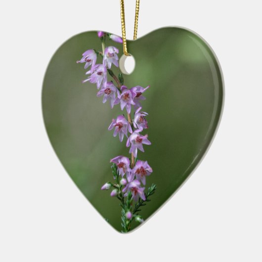 Heer (Calluna vulgaris) Keramisch Ornament (Links)