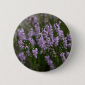 Heer (Calluna vulgaris) Ronde Button 5,7 Cm (Voorkant)