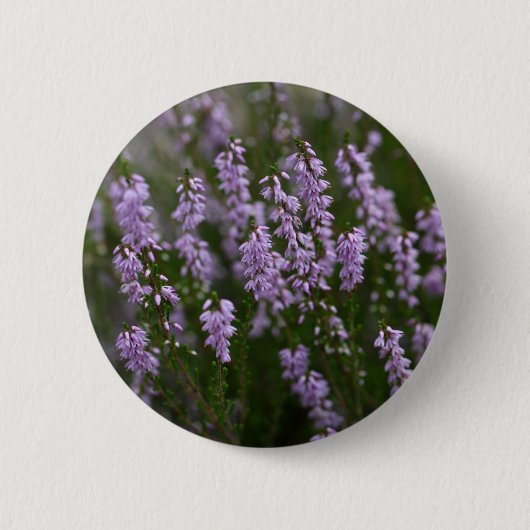 Heer (Calluna vulgaris) Ronde Button 5,7 Cm (Voorkant)