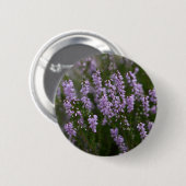 Heer (Calluna vulgaris) Ronde Button 5,7 Cm (Voorkant /achterkant)