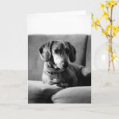 Heer Daschund Kaart (Gele Bloem)